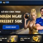 ZO88 - nhà cái số một thị trường với doanh thu cực khủng