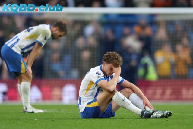 Dự đoán đội hình của Wolverhampton Wanderers vs Brighton & Hove Albion Dự đoán đội hình của Wolverhampton Wanderers vs Brighton & Hove Albion