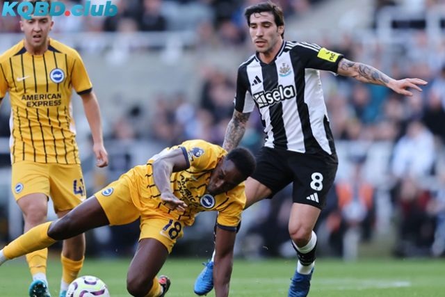 Đội hình dự kiến trận Brighton & Hove Albion vs Newcastle United