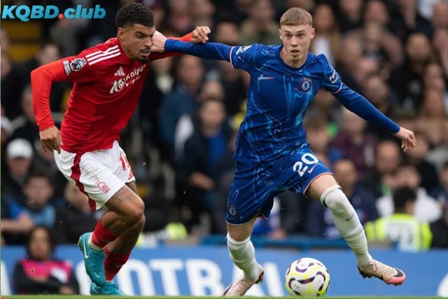 Đội hình dự kiến trận Nottingham Forest vs Chelsea