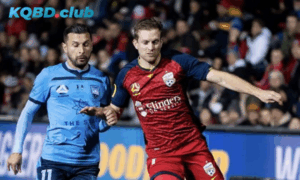 Đội hình dự kiến trước trận Adelaide United vs Sydney FC