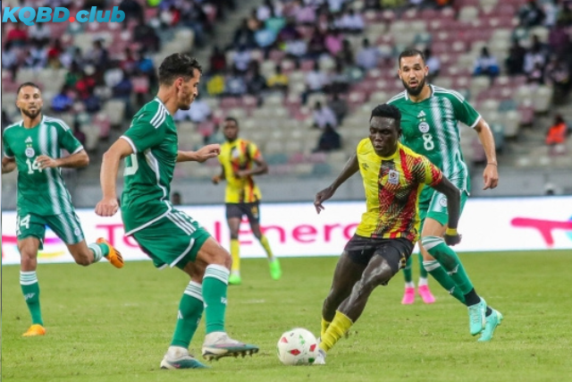 Đội hình dự kiến trước trận Algeria vs Uganda Đội hình dự kiến trước trận Algeria vs Uganda