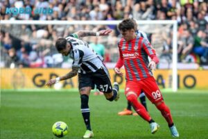 Đội hình dự kiến trước trận  Cremonese vs Udinese