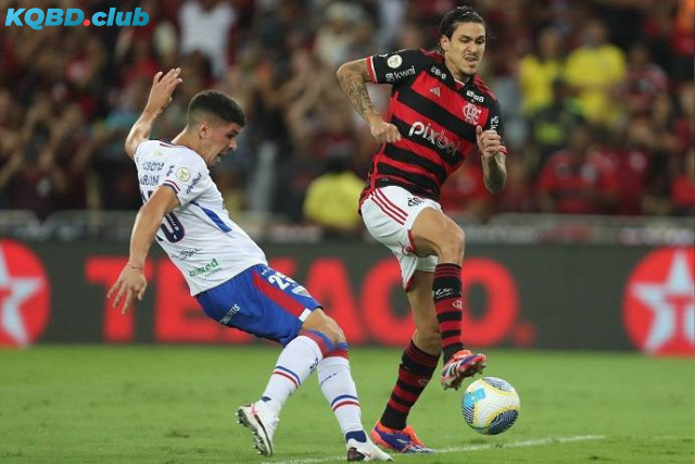 Đội hình dự kiến trước trận Fortaleza vs Flamengo RJ Đội hình dự kiến trước trận Fortaleza vs Flamengo RJ