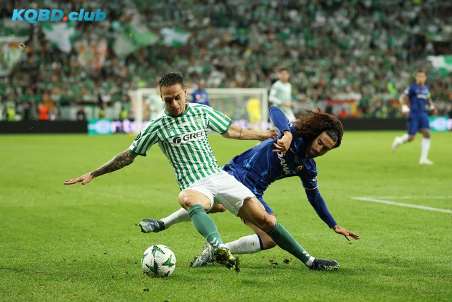 Đội hình dự kiến trước trận Genk vs Real Betis Đội hình dự kiến trước trận Genk vs Real Betis