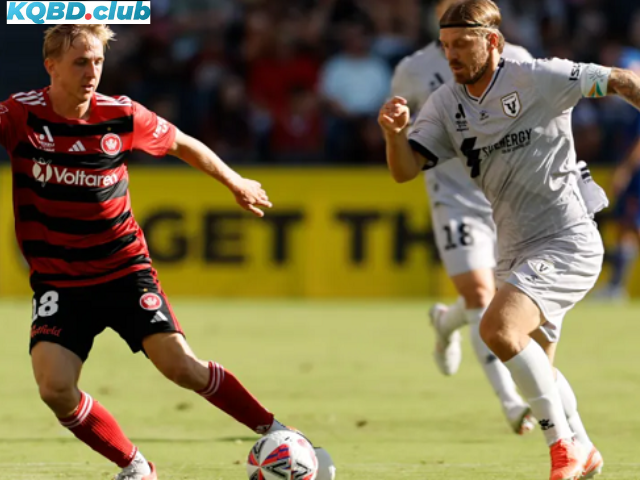 Đội hình dự kiến trước trận Macarthur FC vs WS Wanderers