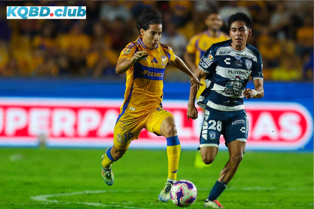 Đội hình dự kiến trước trận Pachuca vs Tigres UANL