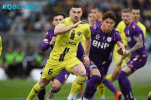 Đội hình dự kiến trước trận Perth Glory vs Wellington Phoenix