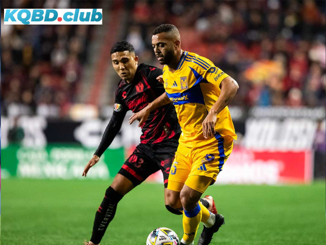 Đội hình dự kiến trước trận Tigres UANL vs Club Tijuana