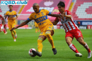 Đội hình dự kiến trước trận Tigres UANL vs Necaxa