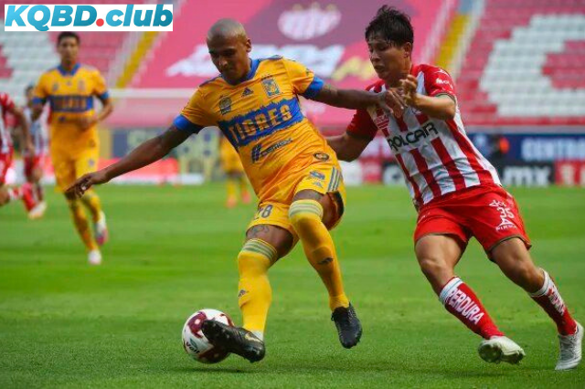 Đội hình dự kiến trước trận Tigres UANL vs Necaxa