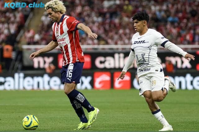 Đội hình dự kiến trước trận UNAM Pumas vs Guadalajara Chivas